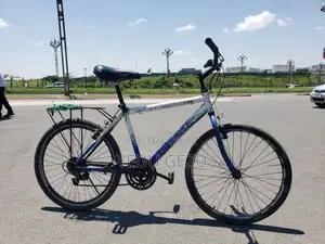 FREEBIKE City Bicycle With Rear Cargo Carrier