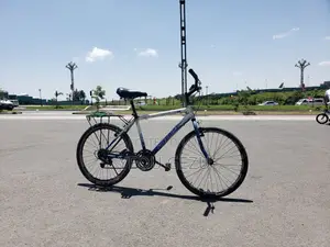 FREEBIKE City Bicycle With Rear Cargo Carrier
