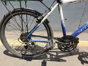FREEBIKE City Bicycle With Rear Cargo Carrier