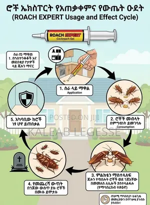 Roach Expert/ Cockroach Gel