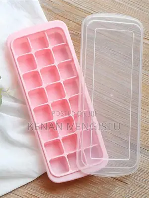 Ice Cube Tray