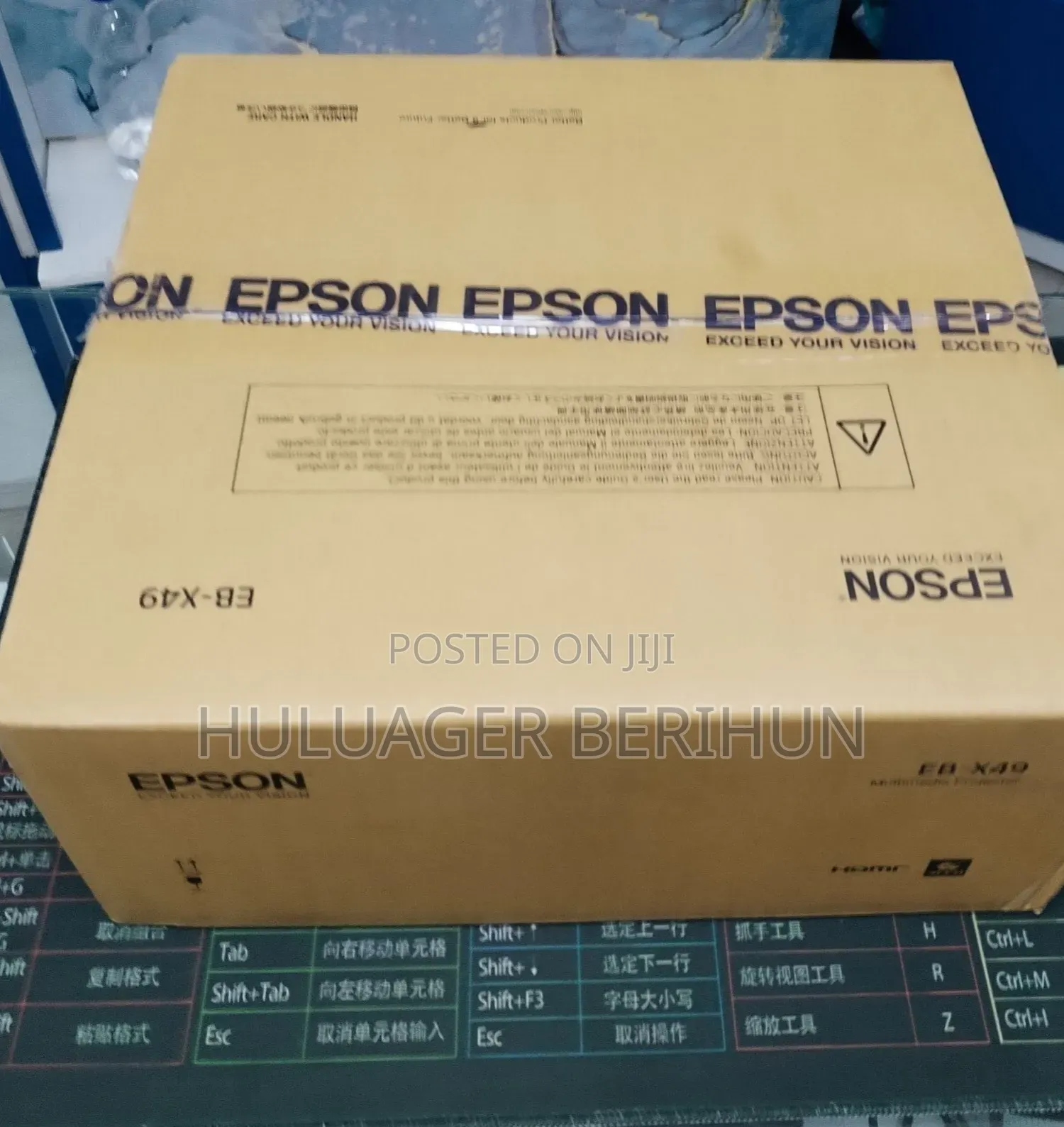 Epson Projector