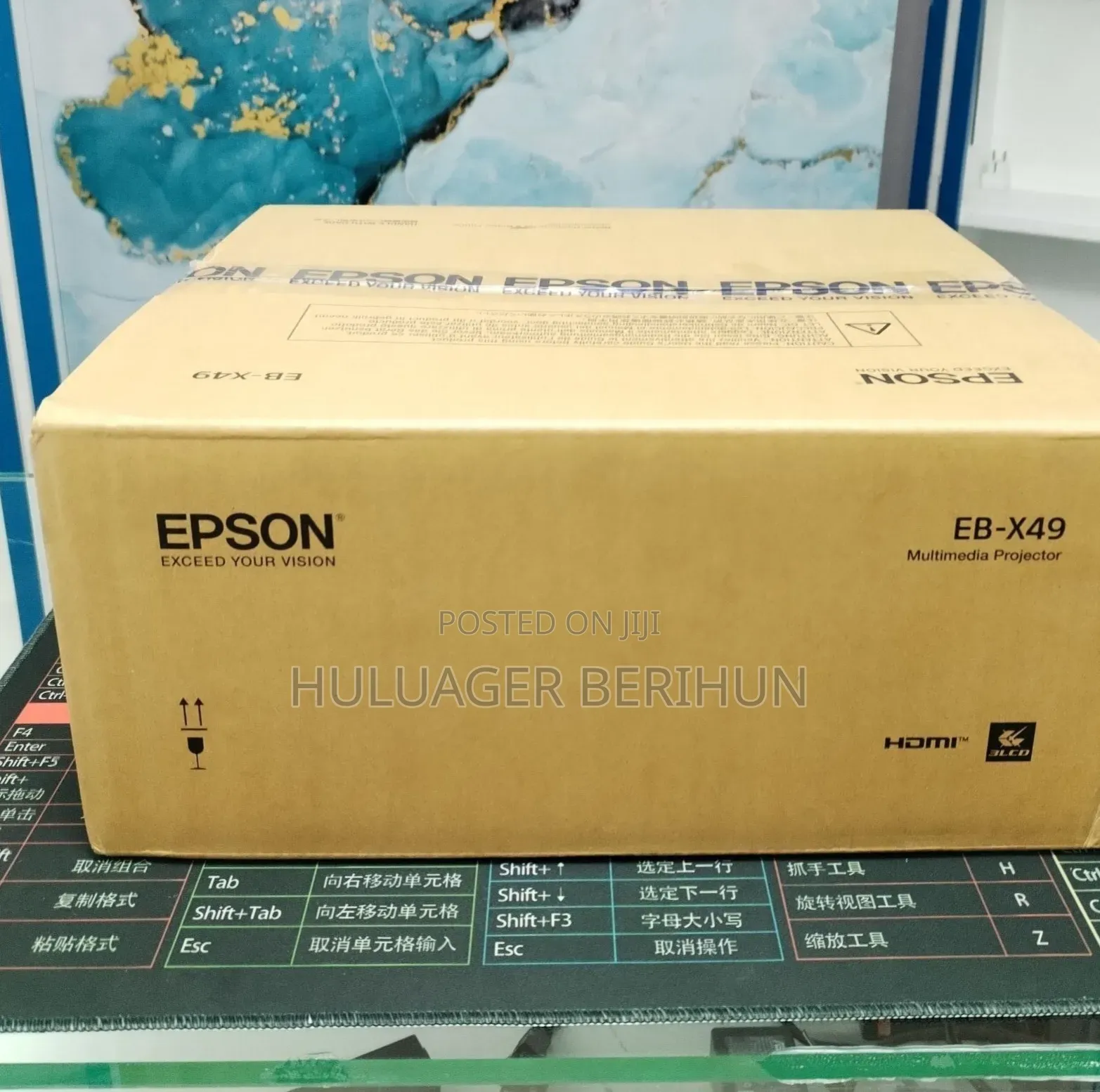 Epson Projector