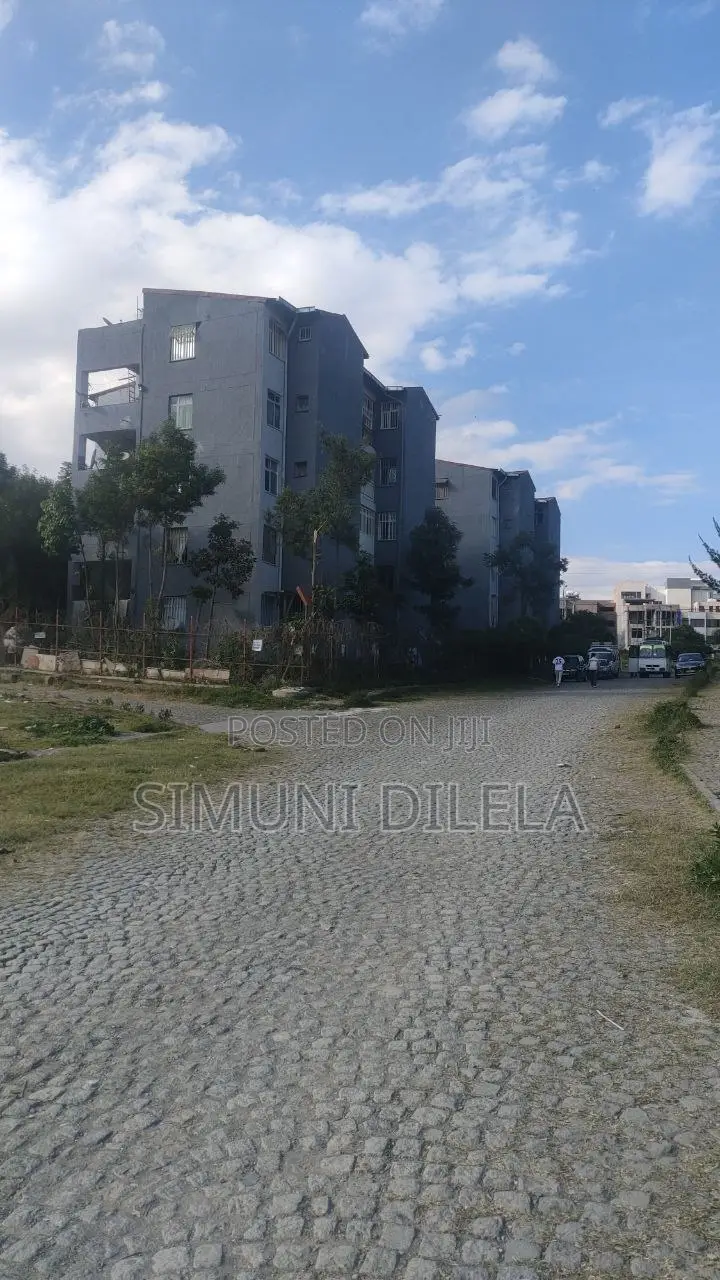 1bdrm Shared Apartment in Bole Arabsa for rent