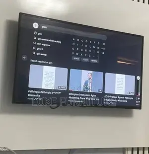Home TV Synix