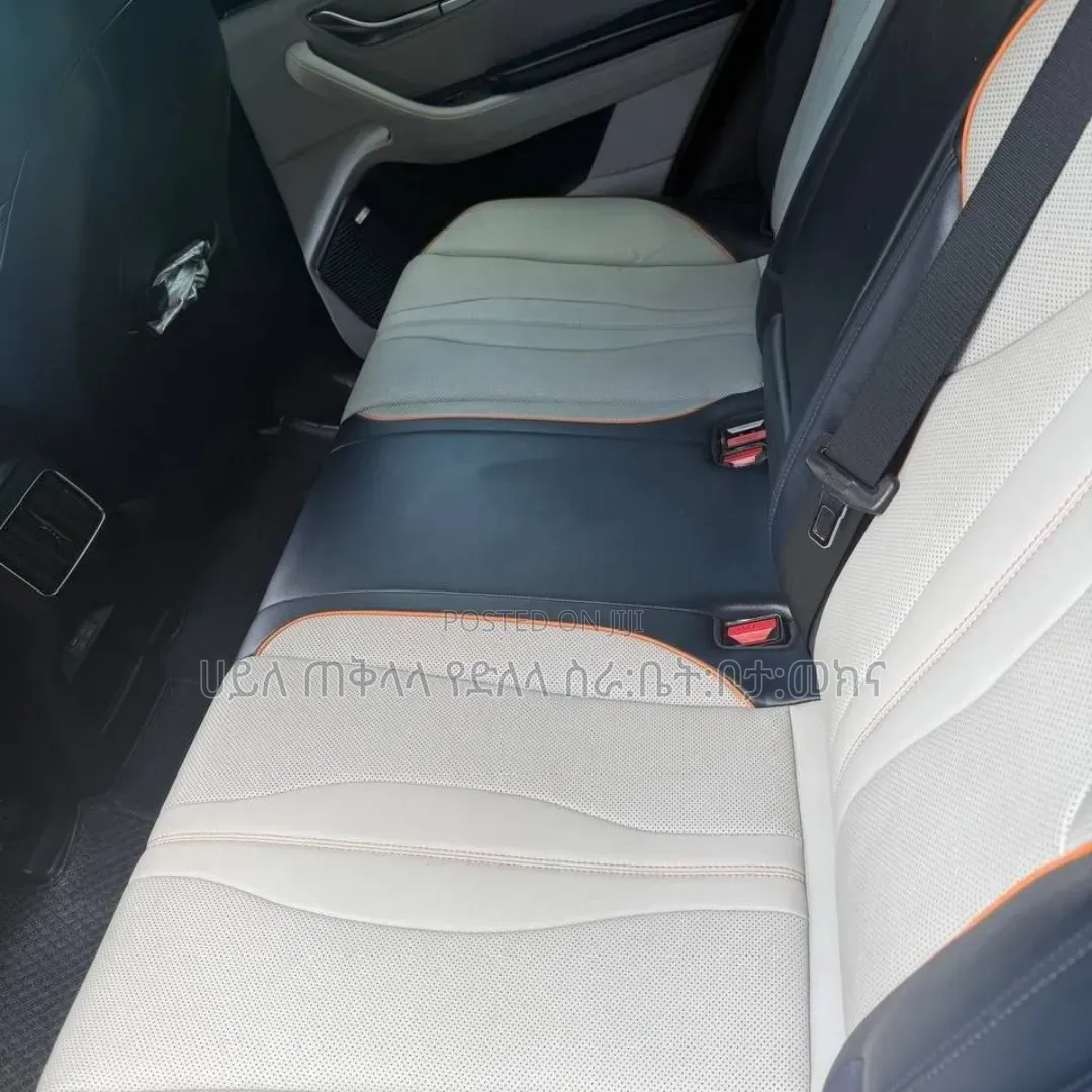 BYD Song Plus 2024 Blue