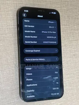 Apple iPhone 12 Pro Max 256 GB Blue