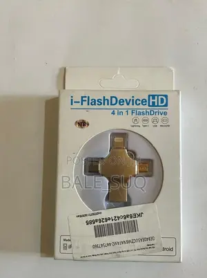 4-1 Flash Drive
