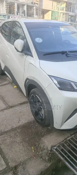 BYD Seagull 2024 White