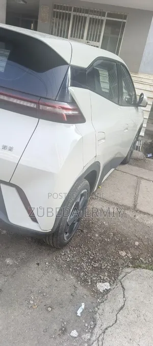 BYD Seagull 2024 White