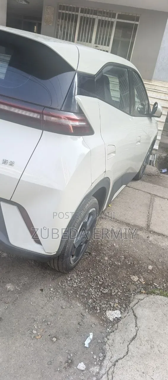 BYD Seagull 2024 White