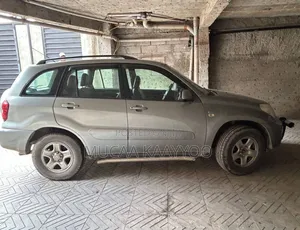 Toyota RAV4 2004 Gray