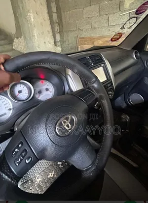 Toyota RAV4 2004 Gray