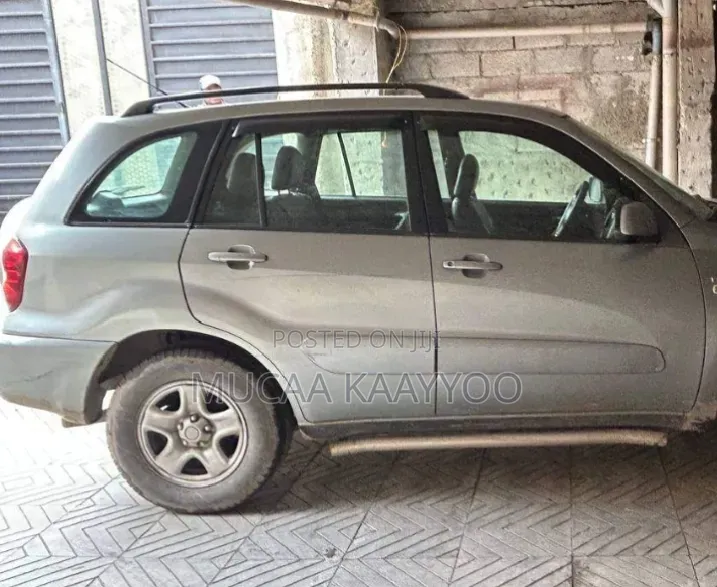 Toyota RAV4 2004 Gray