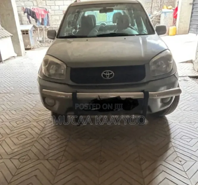 Toyota RAV4 2004 Gray