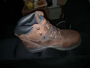 Timberland Shoe for Sale