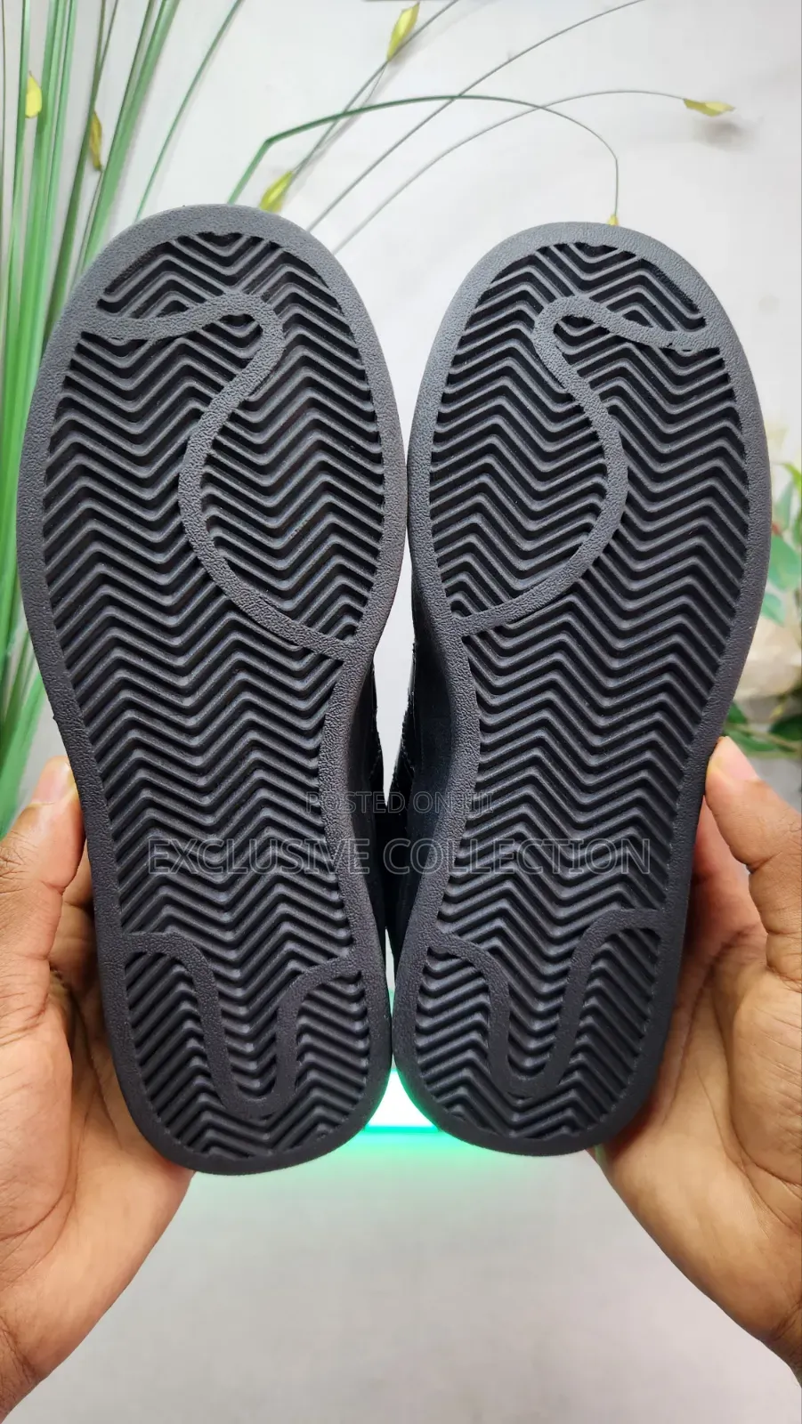 Women’s Size 36 Addidas Campus Sneakers
