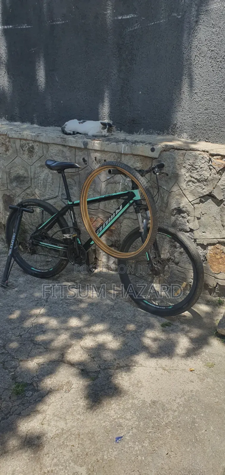 Smart Bicycle