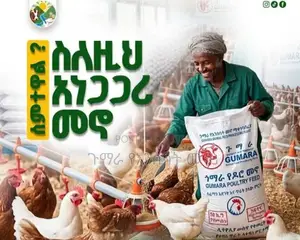 የጉማራ እንሰሳት መኖ ወኪል /Gumara Animal Feed Retailer