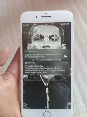 Apple iPhone 7 Plus 256 GB Gray