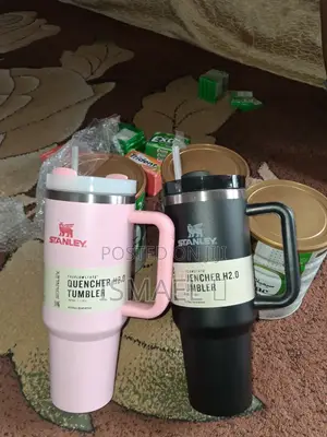 Stanley Bottles