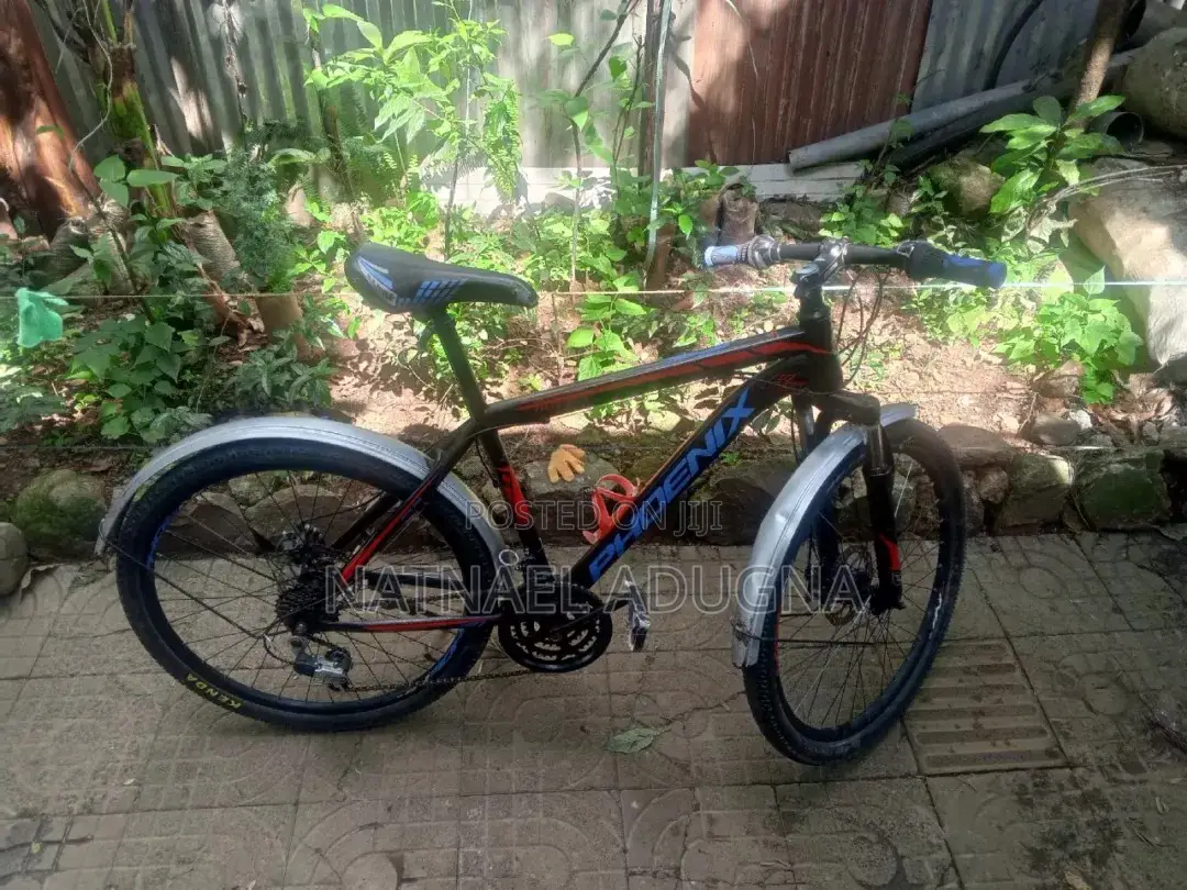 Special Phoenix Bicycle