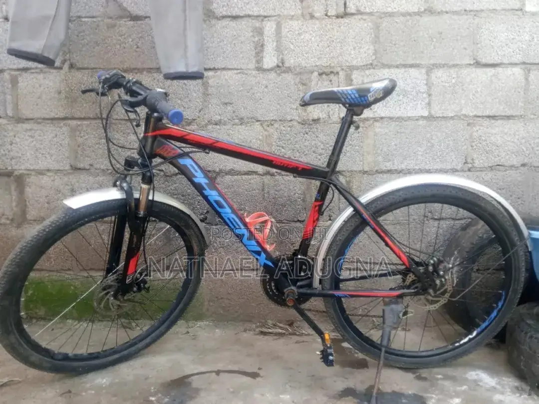 Special Phoenix Bicycle