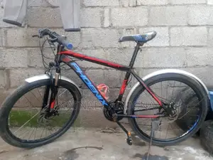 Special Phoenix Bicycle
