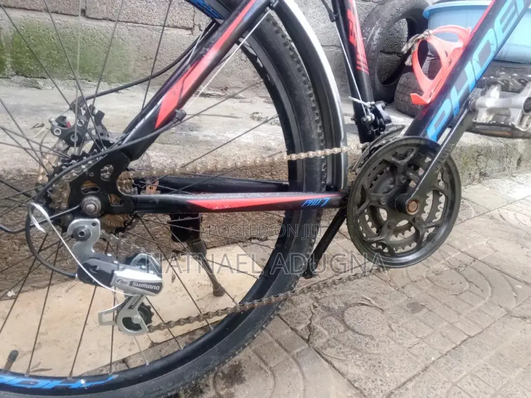 Special Phoenix Bicycle