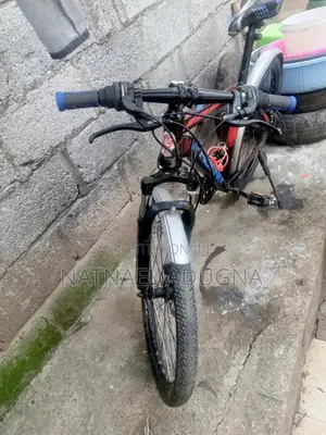 Special Phoenix Bicycle