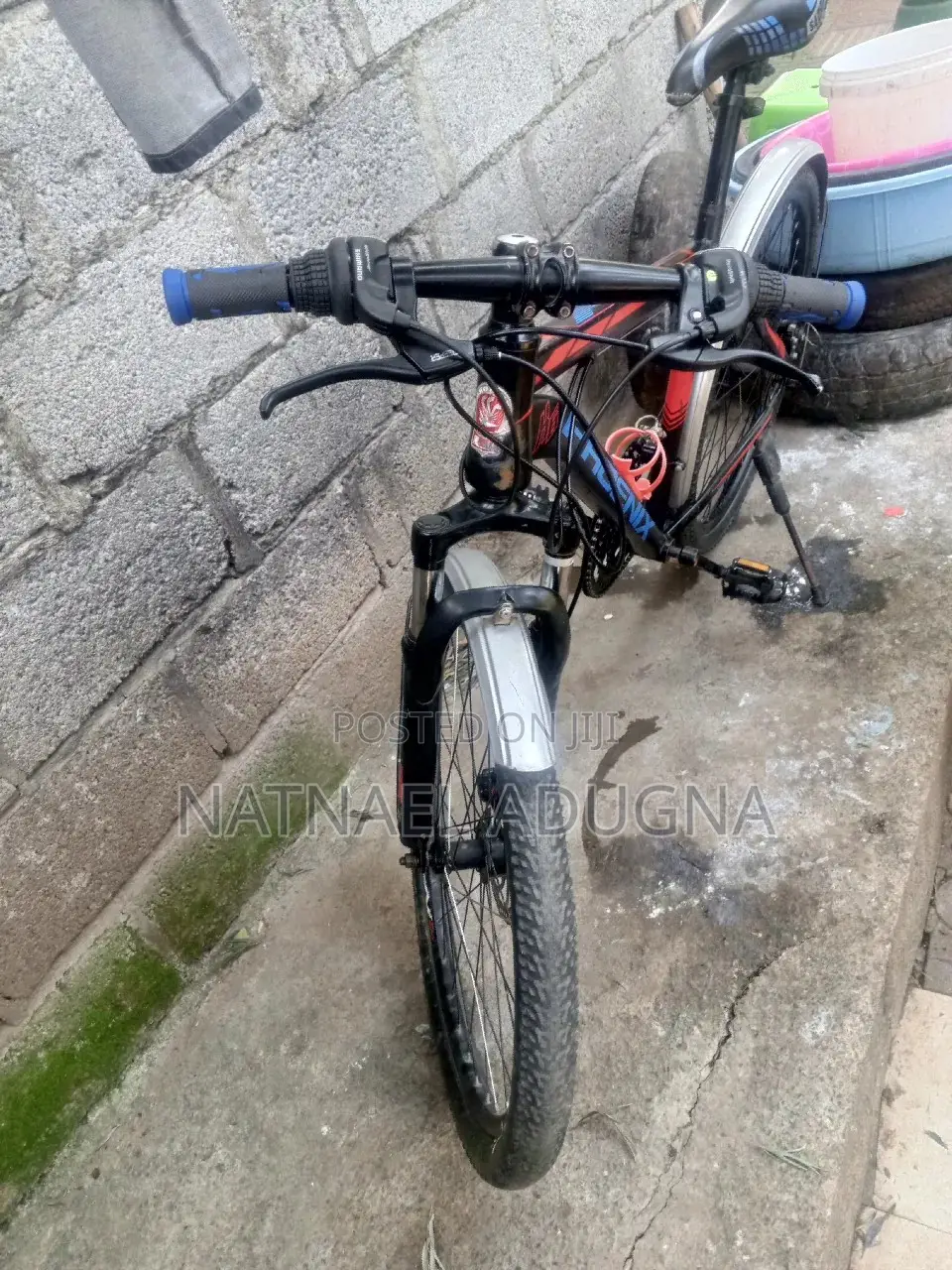 Special Phoenix Bicycle