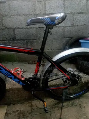 Special Phoenix Bicycle