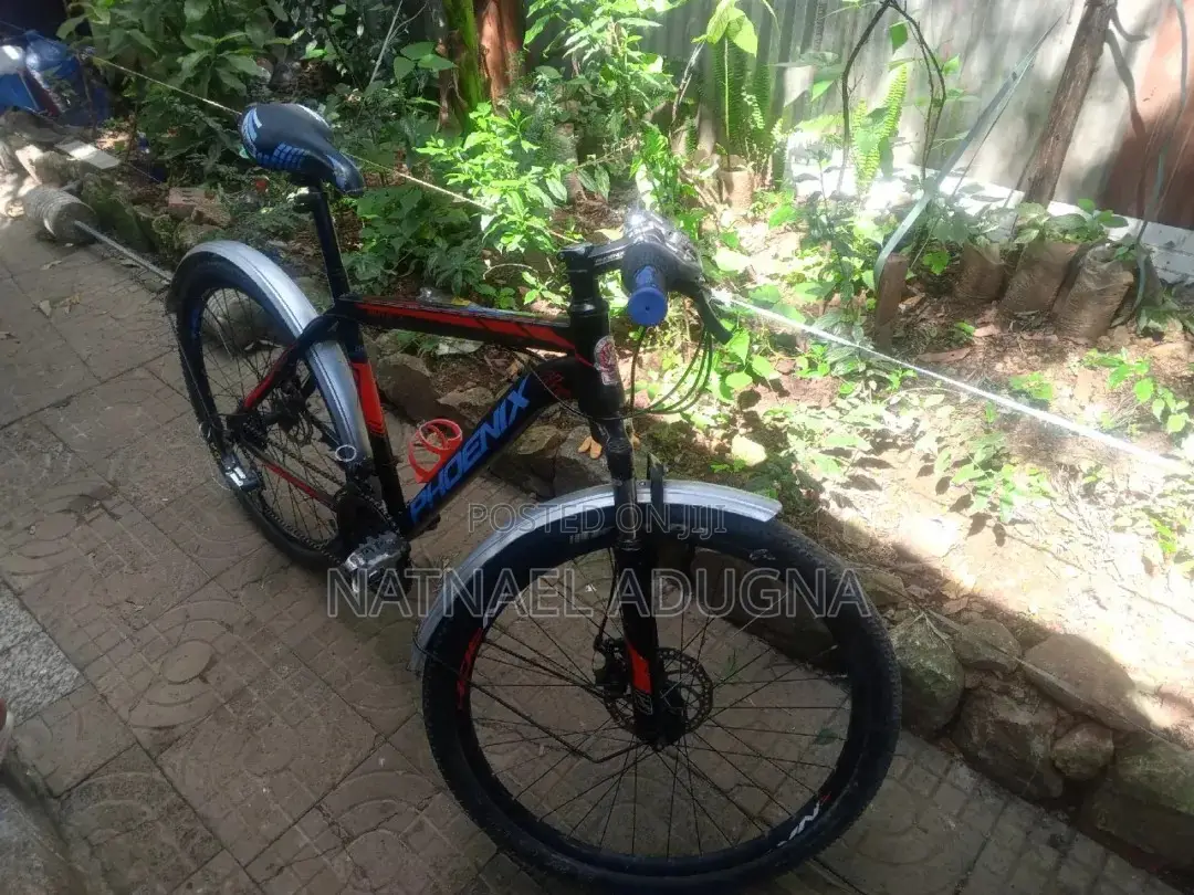 Special Phoenix Bicycle