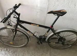 Bicycle Sotoys
