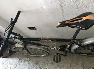 Bicycle Sotoys