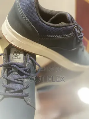 Timberland Blue Casual Sneakers / Low-Top Boots (Men’s)