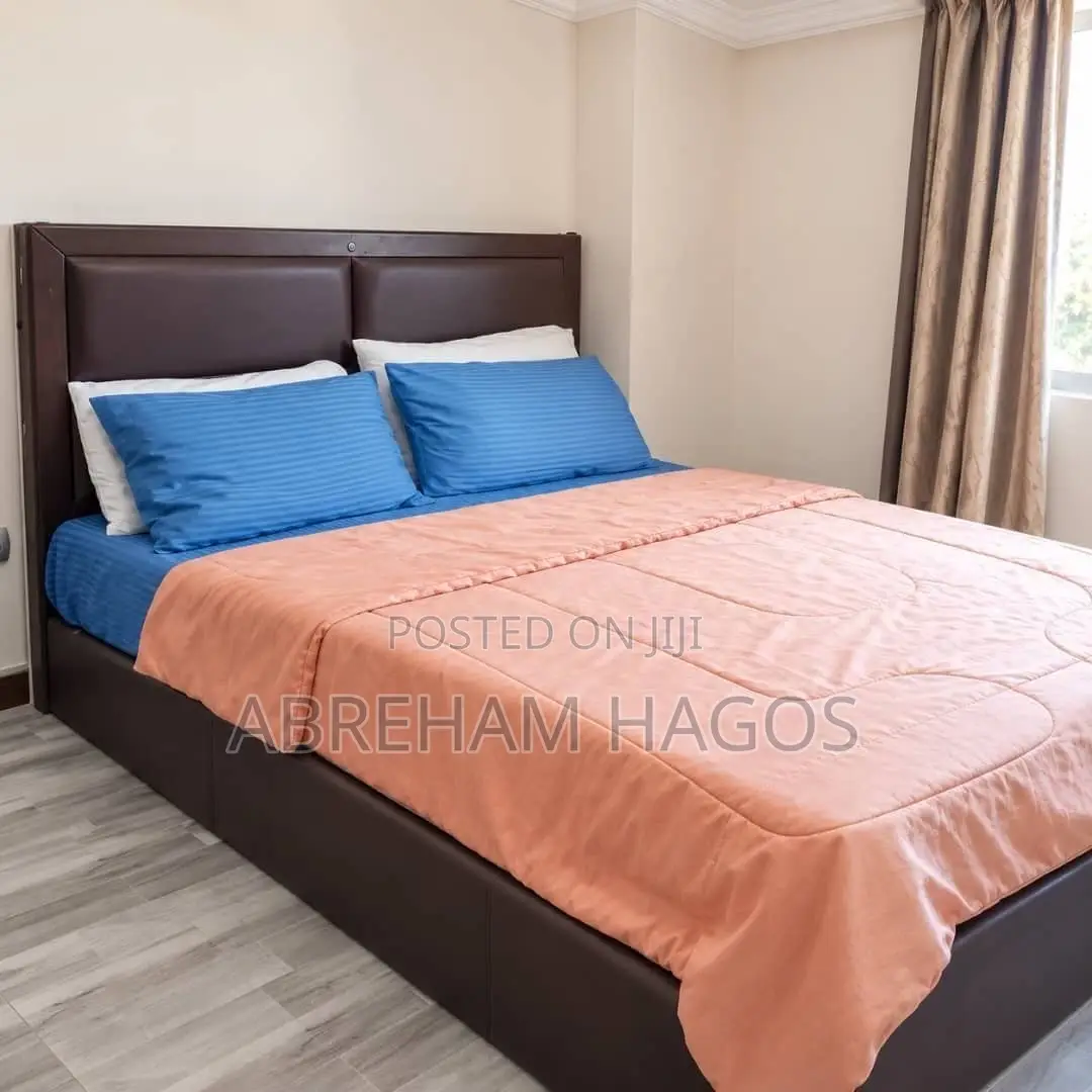 Furnished 3bdrm Shared Apartment in Bole for rent