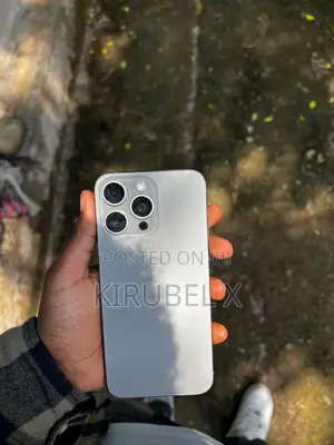 Apple iPhone 15 Pro Max 256 GB Silver
