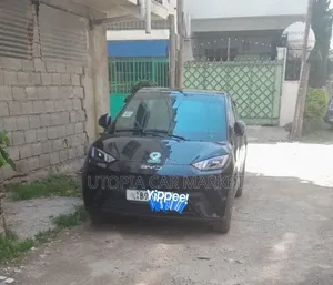 BYD Seagull 2024