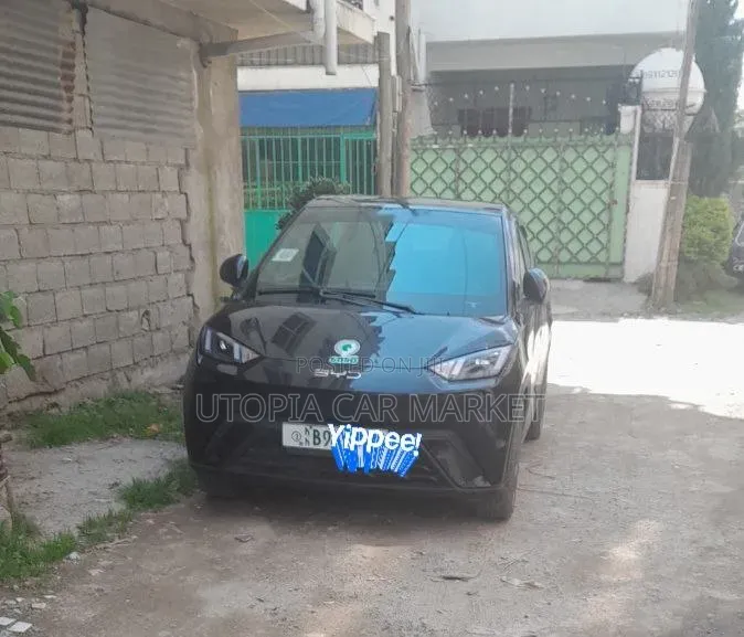 BYD Seagull 2024
