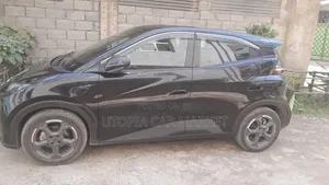 BYD Seagull 2024