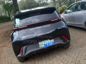 BYD Seagull 2024