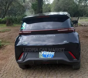 BYD Seagull 2024