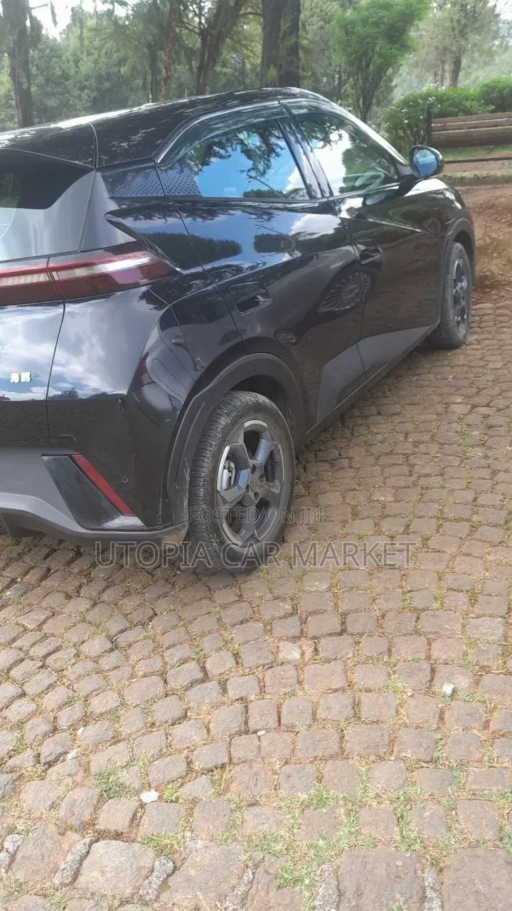 BYD Seagull 2024