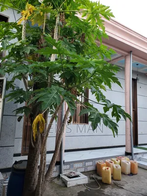 1bdrm House in Adama for sale