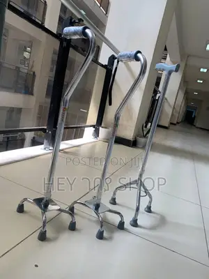Walking Stick / ከዘራ
