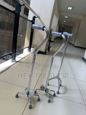 Walking Stick / ከዘራ