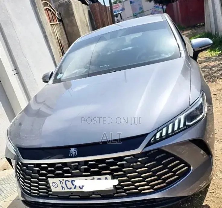 BYD Qin Plus DM-i 2025 Gray