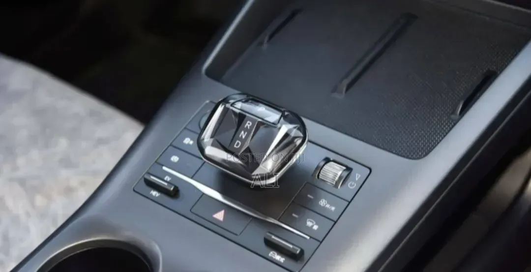 BYD Qin Plus DM-i 2025 Gray
