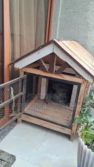 የውሻ ቤት/ Dog House
